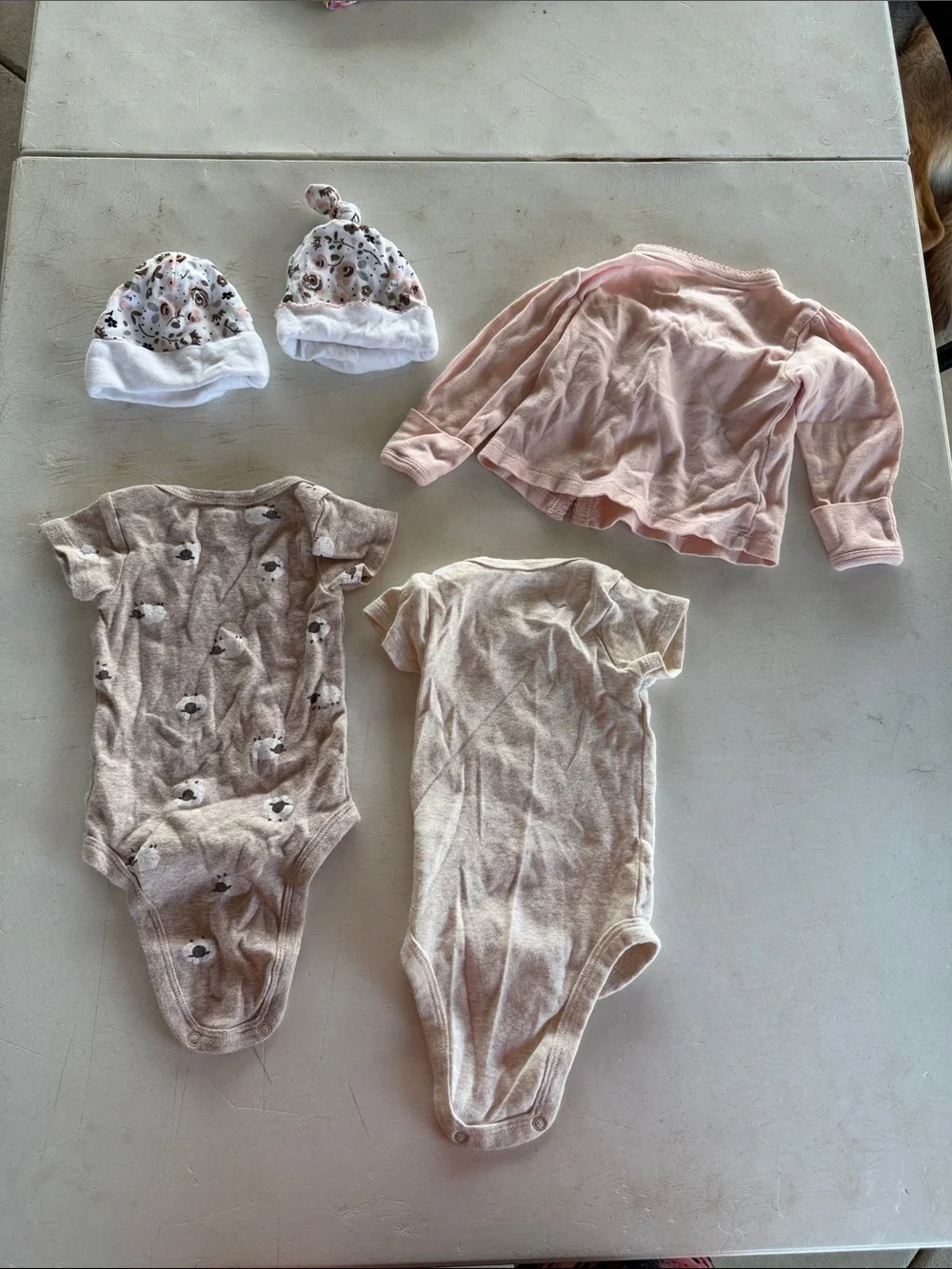 Gerber pink wrap